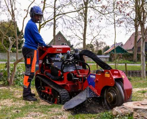 Stronkenfrees huren