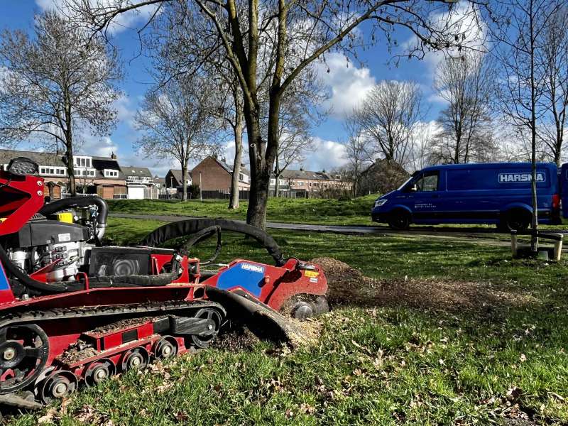 Werkzaamheden in uitvoering met een stronkenfrees in Spijkenisse.