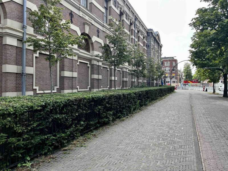 Snoeiwerkzaamheden in Den Haag