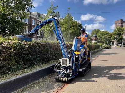 Snoeiwerkzaamheden in Den Haag