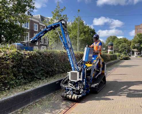 Snoeiwerkzaamheden in Den Haag