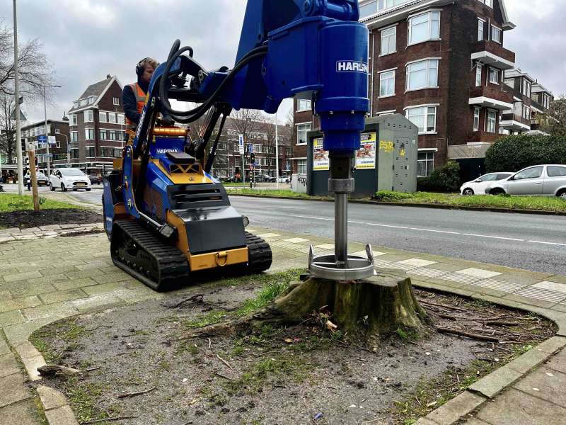 Boomstronk uitboren in Den Haag, door het gebruik van een smal rupsvoertuig, uitgerust met een stronkenboor.