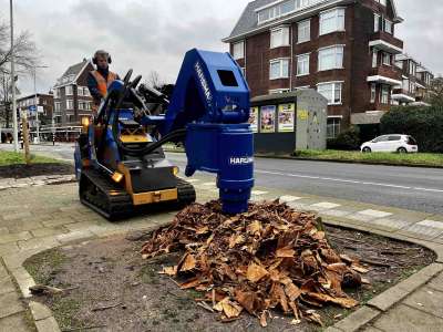 Boomstronk uitboren in Den Haag, door het bruin van een stronkenboor.