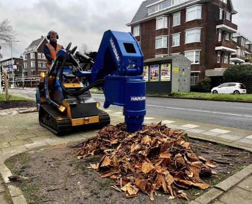 Boomstronk uitboren in Den Haag, door het bruin van een stronkenboor.