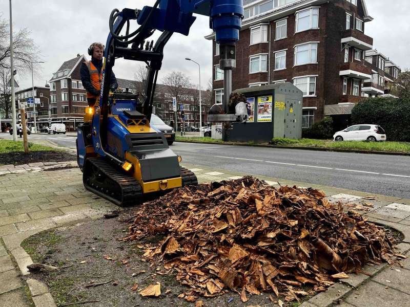 Boomstronk uitboren in Den Haag, door het gebruik van een boomstronkenboor.