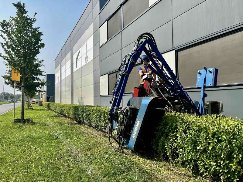 Snoeien op de Heron te Nootdorp