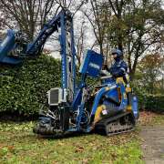 Het snoeien van een Prunus op een locatie in Limburg.