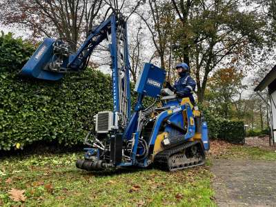 Het snoeien van een Prunus op een locatie in Limburg.