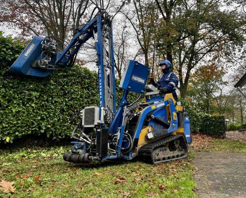 Het snoeien van een Prunus op een locatie in Limburg.